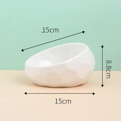 Tilted Ceramic Pet Bowl